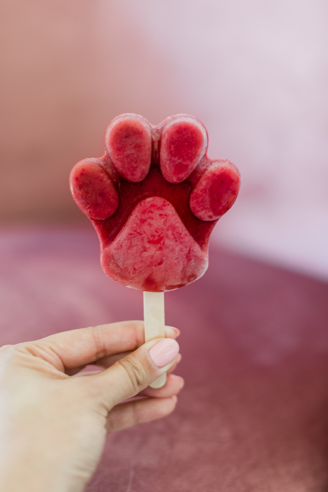 Perfect for summer, these cherry spiked Zooptopia Pawpsicles hit just the right spot! I love creating these boozy Disney cocktails for the kid at heart.